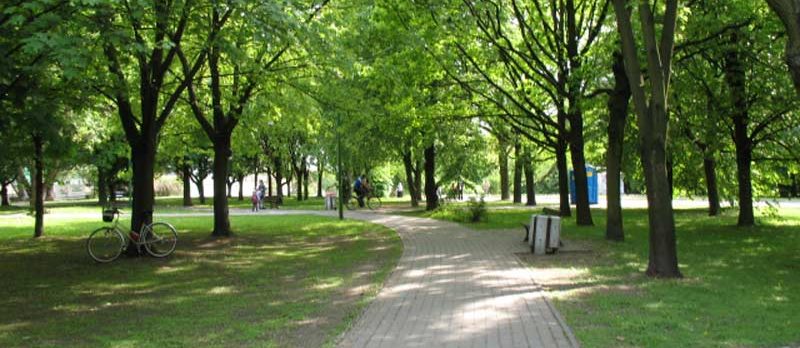Bieganie